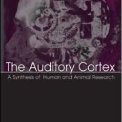 The Auditory Cortex The Auditory Cortex