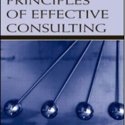 The Basic Principles of Effective Consulting