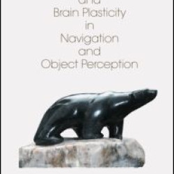 Blindness and Brain Plasticity in Navigation and Object Perception Blindness and Brain Plasticity in Navigation and Object Perception