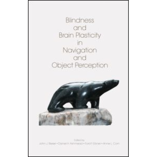 Blindness and Brain Plasticity in Navigation and Object Perception Blindness and Brain Plasticity in Navigation and Object Perception