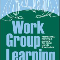 Work Group Learning