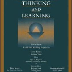 Models and Modeling Perspectives