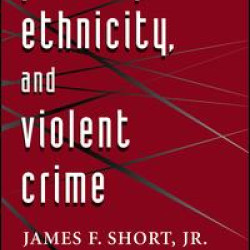 Poverty, Ethnicity, And Violent Crime