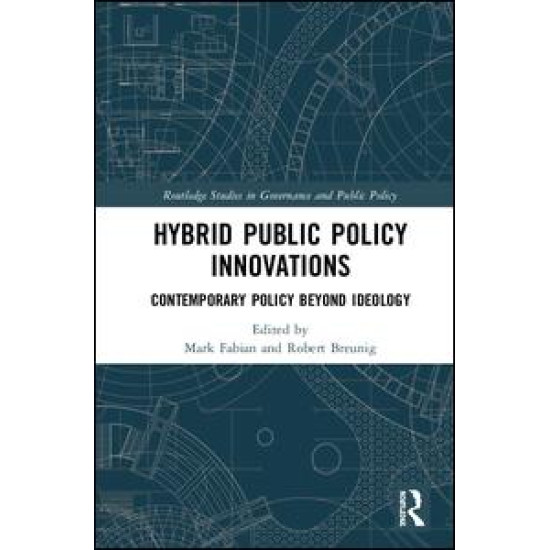 Hybrid Public Policy Innovations