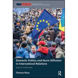 Domestic Politics and Norm Diffusion in International Relations