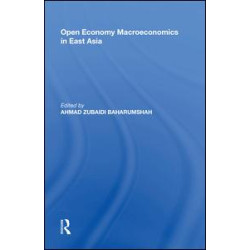 Open Economy Macroeconomics in East Asia