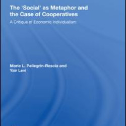 The 'Social' as Metaphor and the Case of Cooperatives