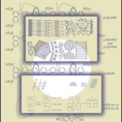 Supramolecular Polymers