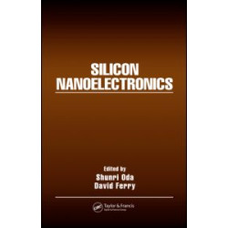 Silicon Nanoelectronics