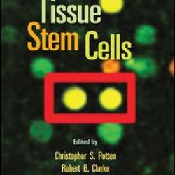 Tissue Stem Cells Tissue Stem Cells