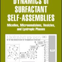 Dynamics of Surfactant Self-Assemblies