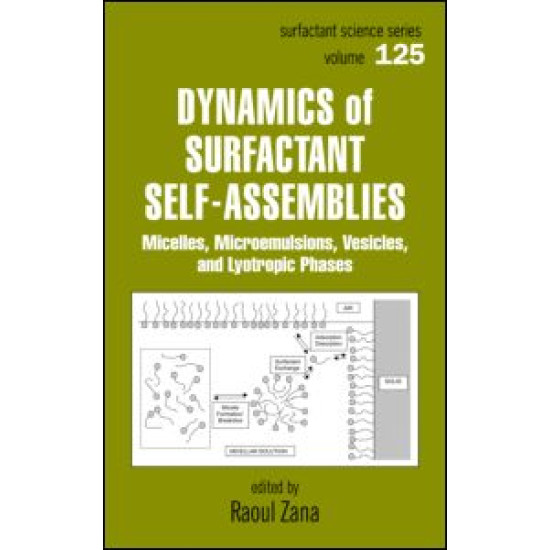 Dynamics of Surfactant Self-Assemblies