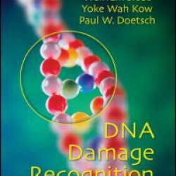 DNA Damage Recognition DNA Damage Recognition