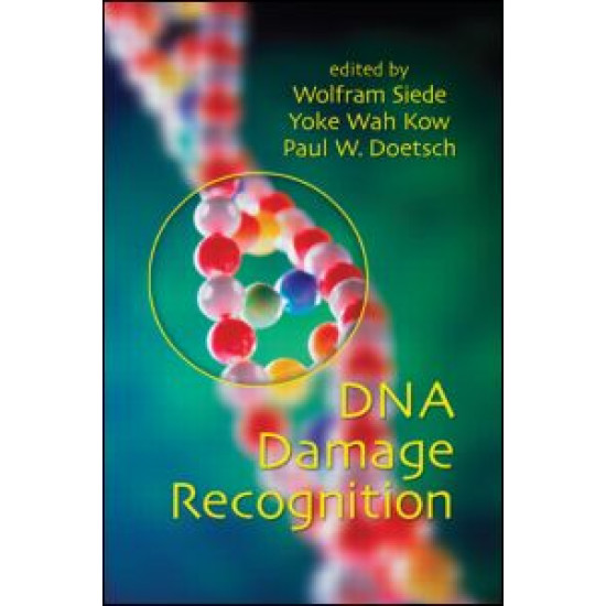 DNA Damage Recognition