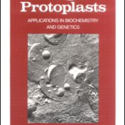 Fungal Protoplasts