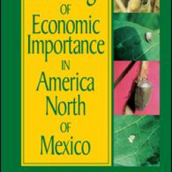 Stink Bugs of Economic Importance in America North of Mexico