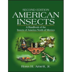 American Insects American Insects