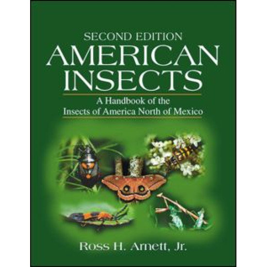 American Insects American Insects