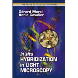 In Situ Hybridization in Light Microscopy