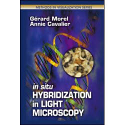 In Situ Hybridization in Light Microscopy