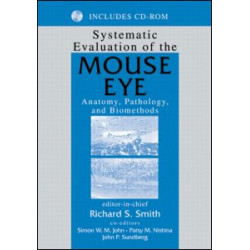 Systematic Evaluation of the Mouse Eye