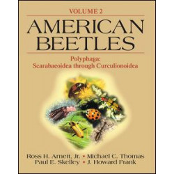 American Beetles, Volume II