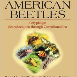 American Beetles, Volume II