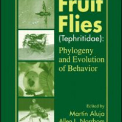 Fruit Flies (Tephritidae)