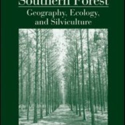 The Southern Forest The Southern Forest