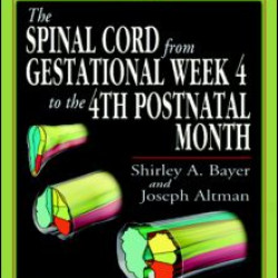 The Spinal Cord from Gestational Week 4 to the 4th Postnatal Month The Spinal Cord from Gestational Week 4 to the 4th Postnatal Month