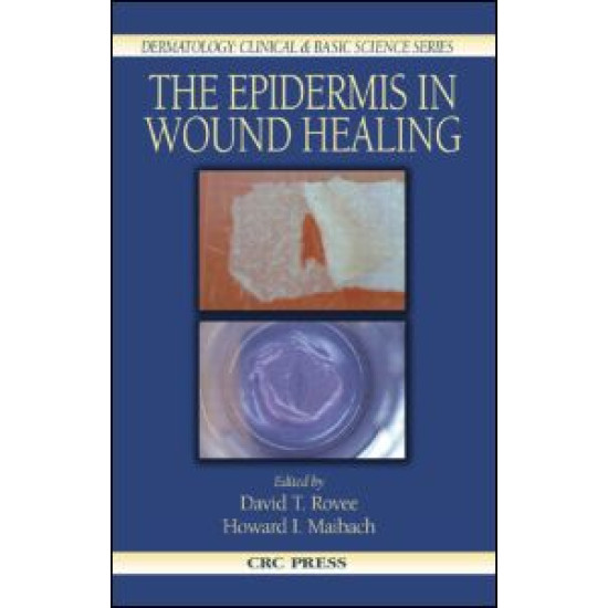 The Epidermis in Wound Healing The Epidermis in Wound Healing