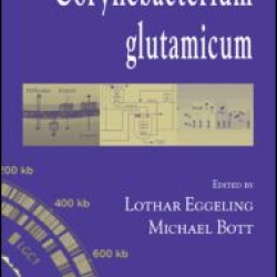 Handbook of Corynebacterium glutamicum