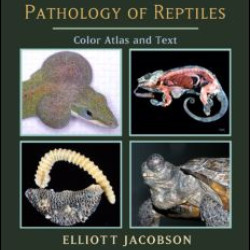 Infectious Diseases and Pathology of Reptiles Infectious Diseases and Pathology of Reptiles