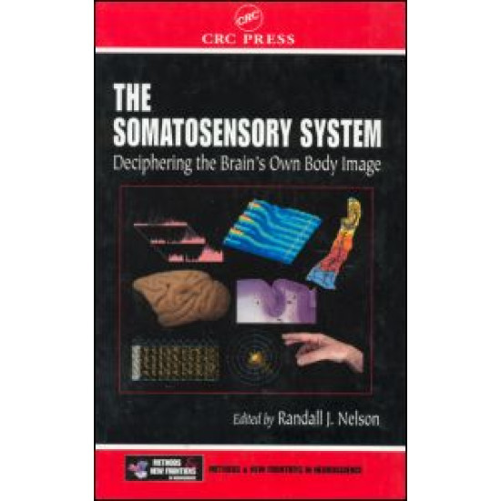 The Somatosensory System