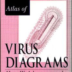 Atlas of Virus Diagrams Atlas of Virus Diagrams