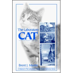 The Laboratory Cat The Laboratory Cat