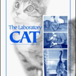 The Laboratory Cat