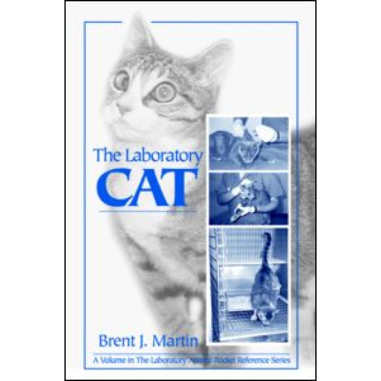 The Laboratory Cat The Laboratory Cat