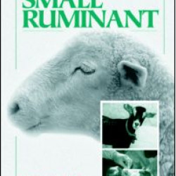 The Laboratory Small Ruminant