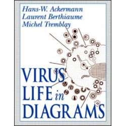 Virus Life in Diagrams