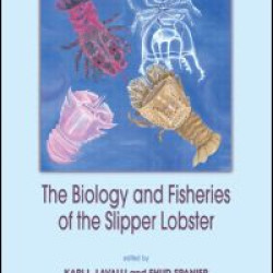 The Biology and Fisheries of the Slipper Lobster