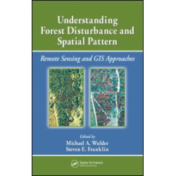 Understanding Forest Disturbance and Spatial Pattern