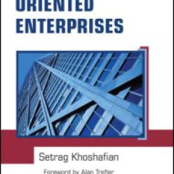 Service Oriented Enterprises Service Oriented Enterprises