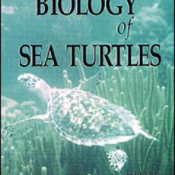 The Biology of Sea Turtles, Volume I