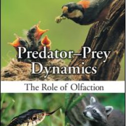 Predator-Prey Dynamics Predator-Prey Dynamics