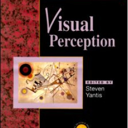 Visual Perception Visual Perception