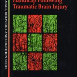 Neurobehavioural Disability and Social Handicap Following Traumatic Brain Injury Neurobehavioural Disability and Social Handicap Following Traumatic Brain Injury