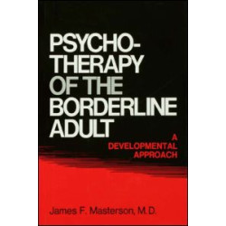 Psychotherapy Of The Borderline Adult Psychotherapy Of The Borderline Adult
