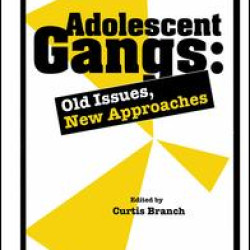 Adolescent Gangs Adolescent Gangs