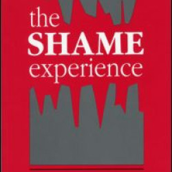 The Shame Experience The Shame Experience